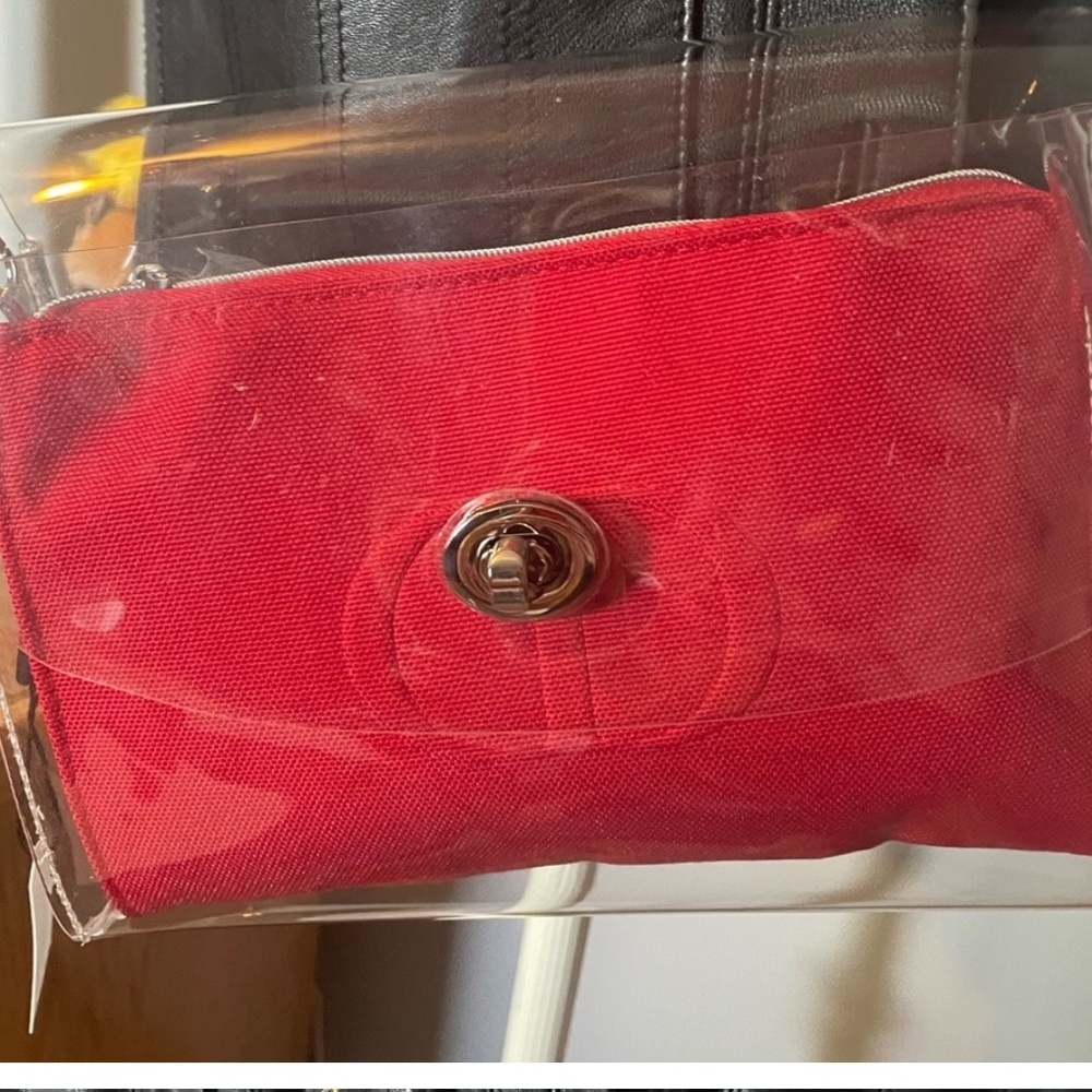 Clear bag with Dior pouch